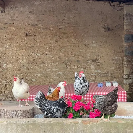 La Demeure D'ervee Isigny-sur-Mer