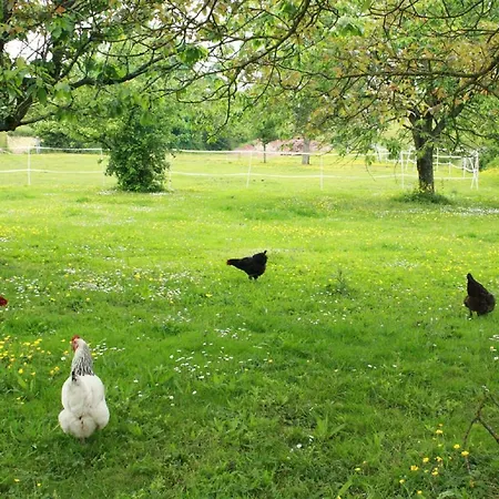 La Demeure D'ervee Nyaraló Isigny-sur-Mer