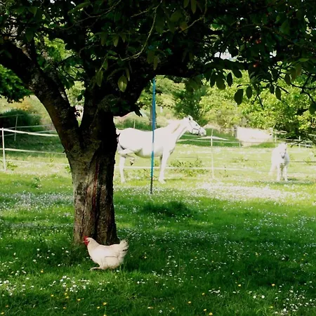 Nyaraló La Demeure D'ervee *