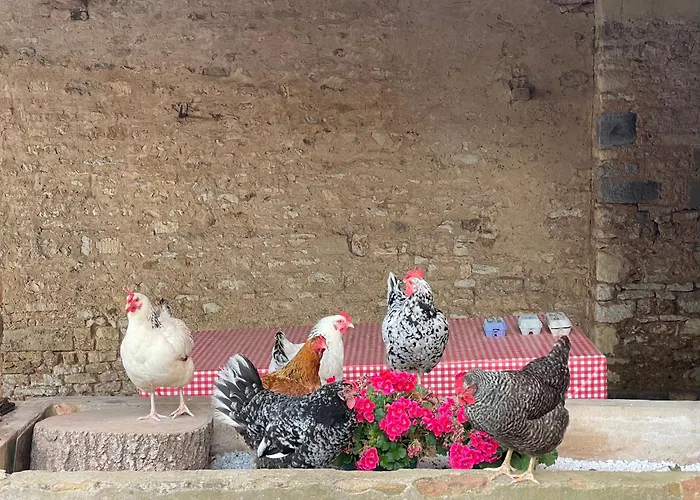 La Demeure D'ervee Isigny-sur-Mer