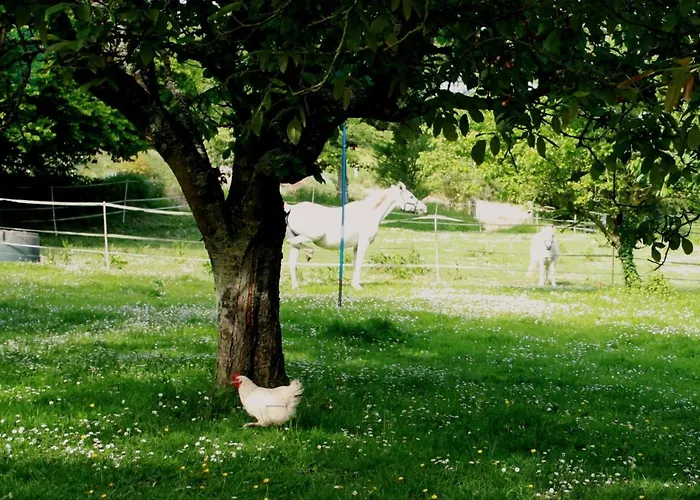 Nyaraló La Demeure D'ervee *